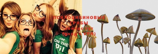 СК Богданович