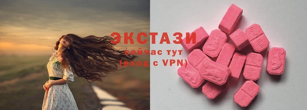 стаф Богородицк
