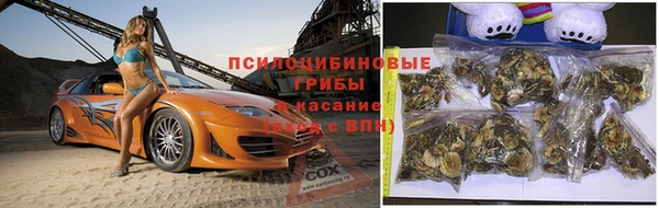 спайс Богородск